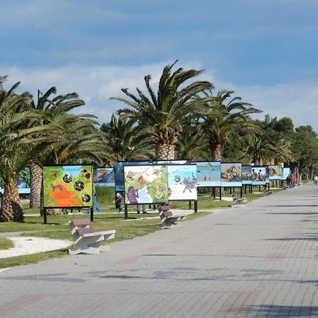 Hotel Bleu Azur Argelès-sur-Mer Eksteriør billede